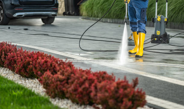 Animal Enclosure Cleaning in Madera, CA